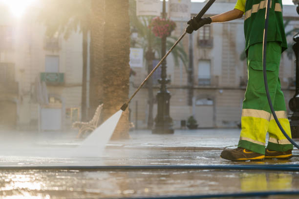 Best Roof Pressure Washing  in Bloomingdale, IL
